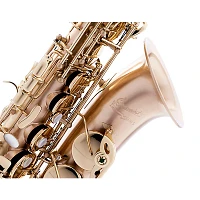 P. Mauriat Le Bravo Intermediate Alto Saxophone Matte Finish