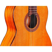 Cordoba Dolce 7/8-Size Acoustic Nylon-String Classical Guitar