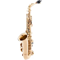 P. Mauriat PMSA-57GC Intermediate Alto Saxophone Beginner Package