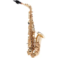 P. Mauriat PMSA-57GC Intermediate Alto Saxophone Beginner Package