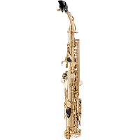 P. Mauriat PMSA-57GC Intermediate Alto Saxophone Beginner Package
