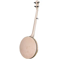 Deering Goodtime Special 5-String Banjo with Resonator Maple