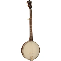 Recording King Dirty 30s Open-Back 5-String Banjo