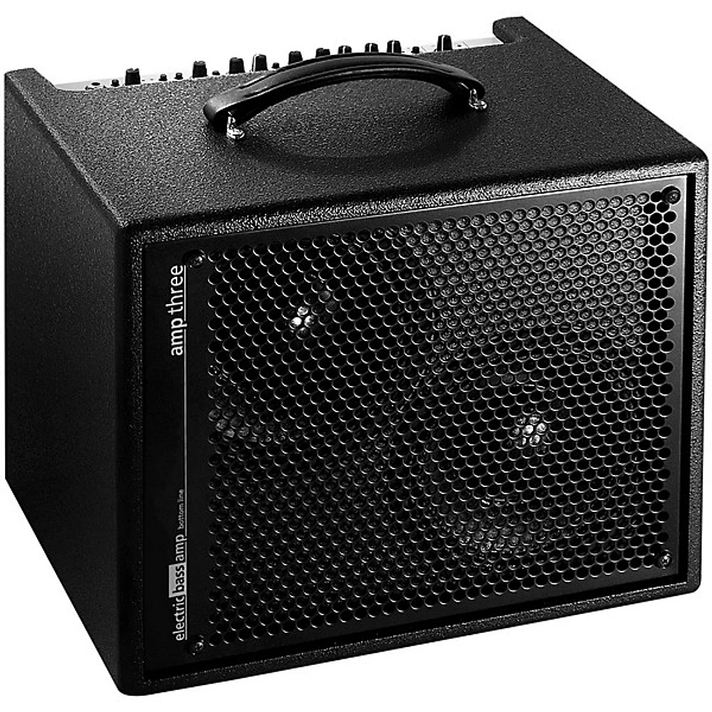 AER Amp-Three 200W Bass 2x8 Combo Amp