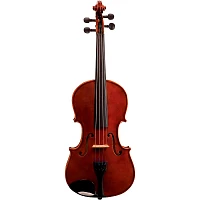 Bellafina Educator Series Viola Outfit 13-in.