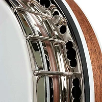 Deering Sierra 19-Fret Tenor Banjo