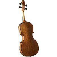 Open Box Cremona SV-100 Premier Novice Series Violin Outift Level 2 1/32 Size 197881095611