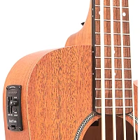 Gold Tone 23" Scale Acoustic-Electric MicroBass Natural