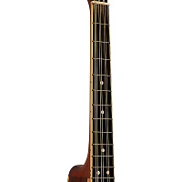 Gold Tone OM-800+ Octave Mandolin Natural