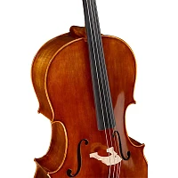 Ren Wei Shi Academy Series Cello Outfit 4/4