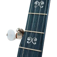 Deering Artisan Goodtime II 5-String Resonator Banjo