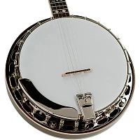 Recording King Bluegrass Series RK-R20 Songster Banjo