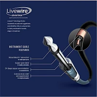 Livewire Advantage Instrument Cable 20 ft. Black