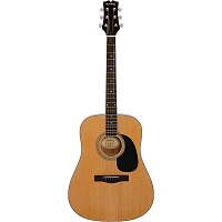 Mitchell D120PK Acoustic Guitar Value Package Natural