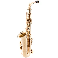 Allora AAS-250 Student Series Alto Saxophone Lacquer