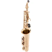 Allora AAS-250 Student Series Alto Saxophone Lacquer