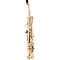 Allora AAS-250 Student Series Alto Saxophone Lacquer