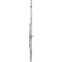 Allora AFL-250 Student Series Flute Offset G C-Foot