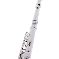 Allora AFL-250 Student Series Flute Offset G C-Foot