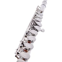 Allora AFL-250 Student Series Flute Offset G C-Foot