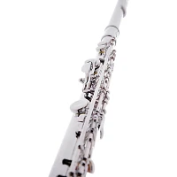 Allora AFL-250 Student Series Flute Offset G C-Foot