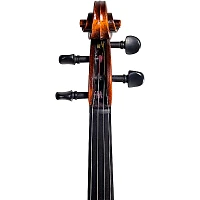 Strobel MA- Recital Series Viola Outfit in