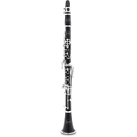 Allora ACL-250 Student Series Clarinet