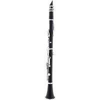 Allora ACL-250 Student Series Clarinet