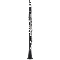 Allora ACL-250 Student Series Clarinet