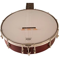 Recording King RKO-3S Open-Back Banjo