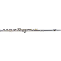 Etude EFL-200 Student Series Flute Offset G C-Foot