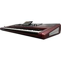 KORG Pa1000 61-Key Professional Arranger