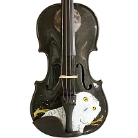 Rozanna's Violins Mystic Owl Black Glitter Series Violin Outfit 1/4