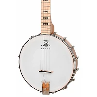 Deering Goodtime Acoustic-Electric Banjo