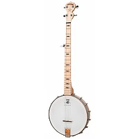 Deering Goodtime Acoustic-Electric Banjo