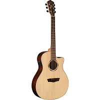 Washburn WLO2SCE Woodline 20 Series Acoustic-Electric Guitar