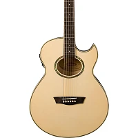 Washburn EA20 Mini Jumbo Acoustic-Electric Guitar