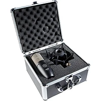 AKG Choose-Your-Microphone Bundle P220