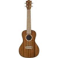 Lanikai MAS-C All Solid Mahogany Concert Ukulele Mahogany