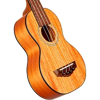 Open Box D'Angelico Montauk Soprano Ukulele Mahogany Level 1 Natural