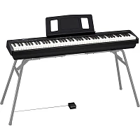 Roland FP-10 Digital Piano