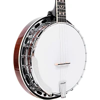 Gold Tone PS-250: Plectrum Special Banjo Vintage Brown