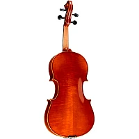 Ren Wei Shi Academy II Series Violin Outfit 4/4