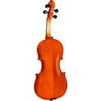 Rozanna's Violins Lion Spirit Violin Outfit 1/2