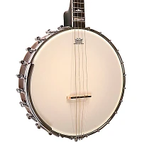 Gold Tone IT-250 4-String Irish Tenor Open-Back Banjo Natural