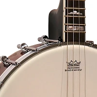 Gold Tone IT-250 4-String Irish Tenor Open-Back Banjo Natural