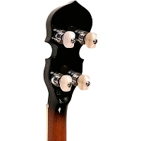 Gold Tone IT-250 4-String Irish Tenor Open-Back Banjo Natural