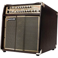 Genzler Amplification Acoustic Array PRO 300W 1x10 with 4x3 Line Array Acoustic Guitar Combo Amp Brown