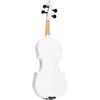 Rozanna's Violins Snowflake II Series Violin Outfit 3/4