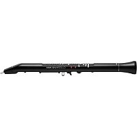 Akai Professional EWI Solo Electronic Wind Instrument